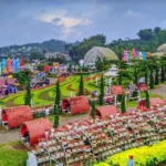 11 Ragam Wisata Taman Bunga di Malang