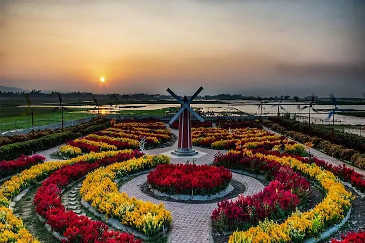 Taman Bunga Celosia Spot Unik Taman di Semarang