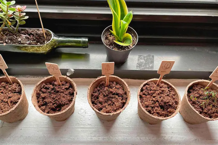 Teknik Berkebun Dalam Ruangan