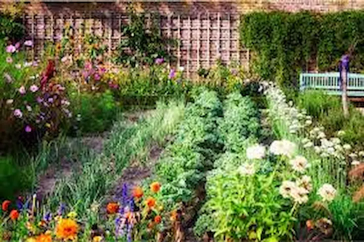 Tips Mengembangkan Kebun Bunga Dalam Ruangan
