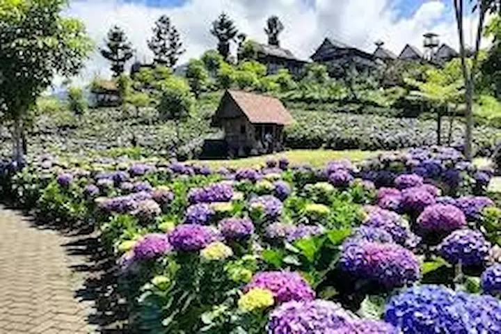 Wisata Dusun Kuliner Wisata Taman Bunga di Malang